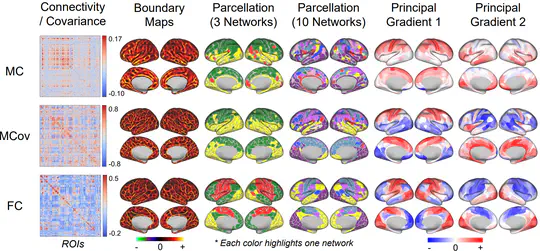 [OHBM 2024] Human Cerebral Cortex Organization Estimated by Functional PET-FDG Metabolic Connectivity