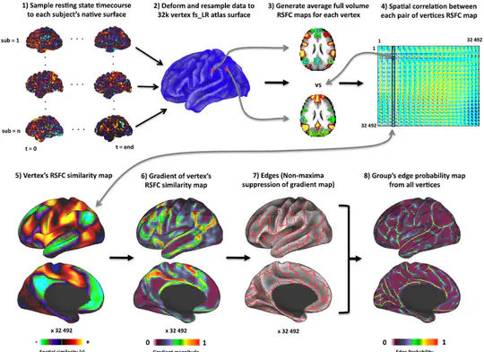 Human Cerebral Cortex Organization Estimated by Functional PET-FDG Metabolic Connectivity