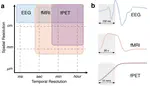 Data-Driven Methods in Simultaneous EEG-fPET-fMRI Opportunities and Challenges