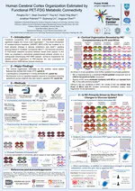 Human Cerebral Cortex Organization Estimated by Functional PET-FDG Metabolic Connectivity